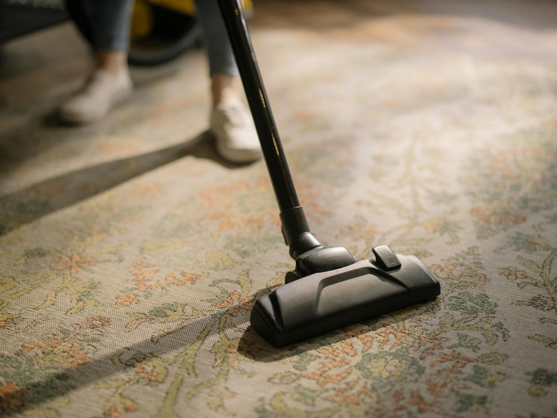 Person vacuuming carpet